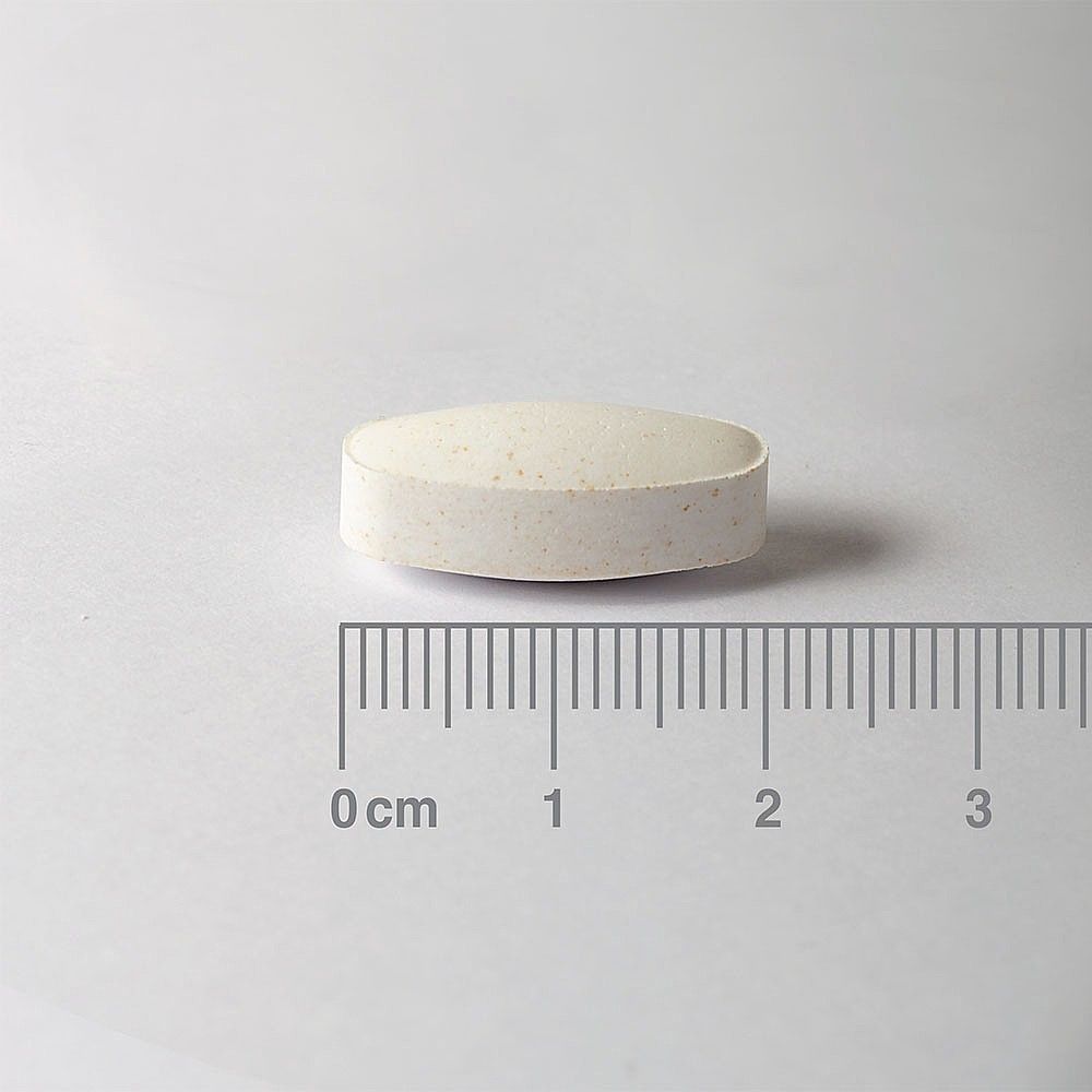 Lamberts Bio-Iron Complex (Vitamin B12 and L-Lysine) 120 Tablets #8244 - Up To 30% Off