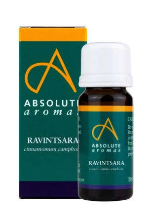 Absolute Aromas Ravintsara (Ravensara) 10ml