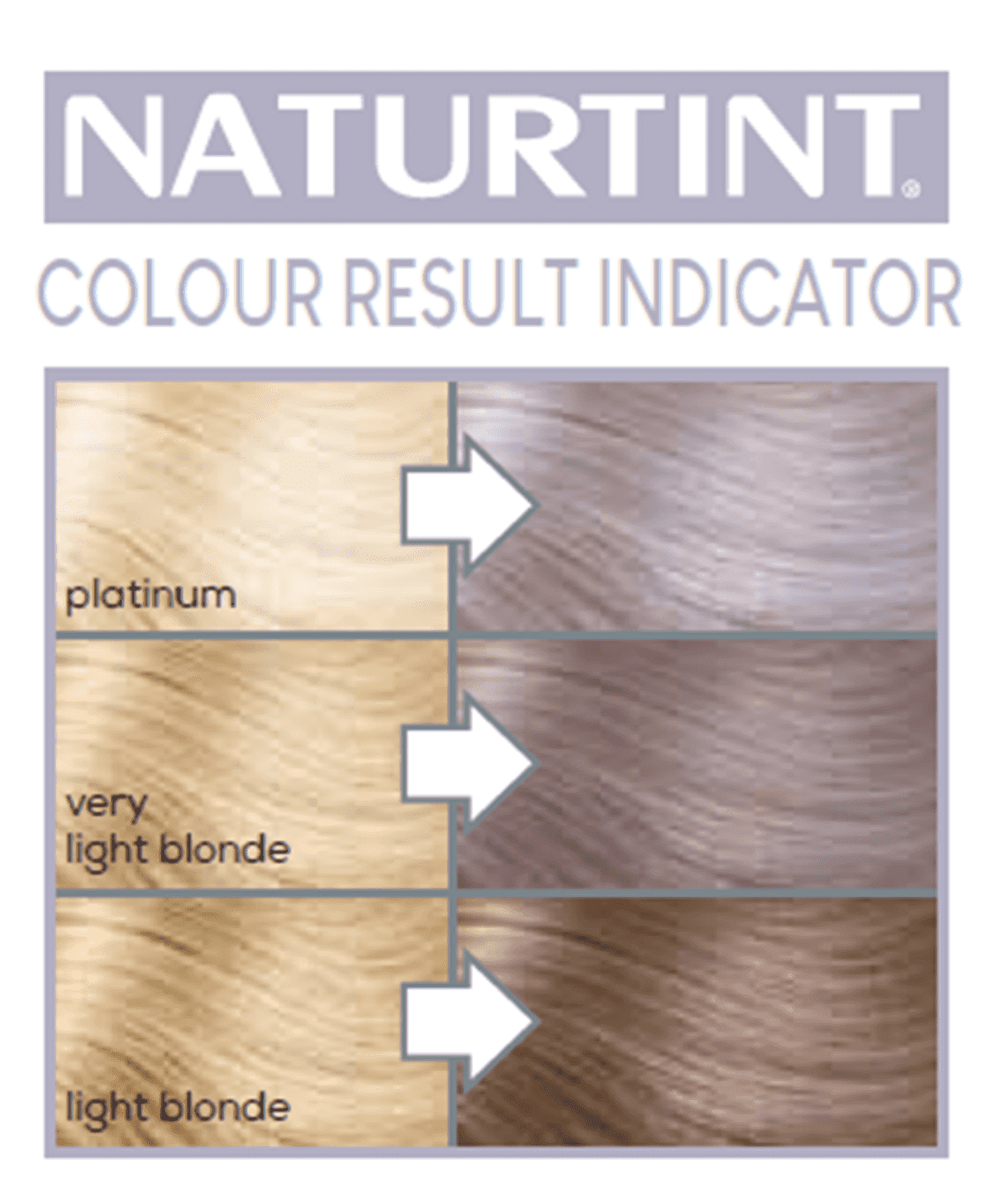 Naturtint Permanent Hair Colourant Silver - Up to 35% Off