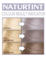 Naturtint Permanent Hair Colourant Silver - Up to 35% Off
