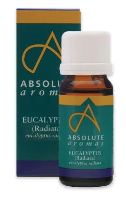 Absolute Aromas Eucalyptus Radiata Essential Oil