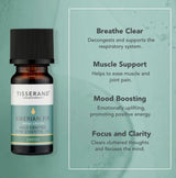 Tisserand Siberian Fir Essential Oil 9ml