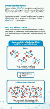 Saguna Silicol Gel Colloidal Silicic Acid For Gastrointestinal Disorders 200ml
